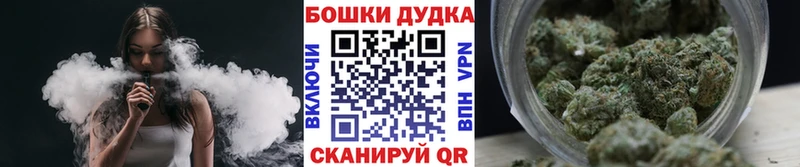 Бошки марихуана планчик  купить наркотик  Углегорск 